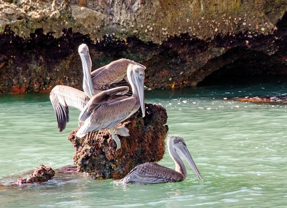 Highlights der Dominikanischen Republik - Nationalpark Los Haitises