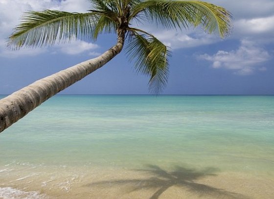 Highlights der Dominikanischen Republik - Las Terrenas