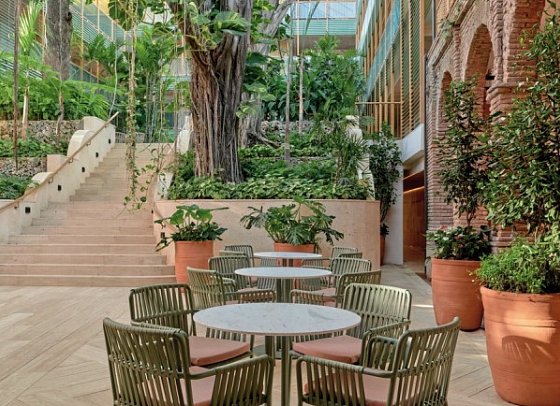 Kimpton Las Mercedes