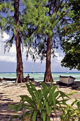 Segeltörn durchs Paradies - S.V. Sea Pearl (8 Tage/7 Nächte, ab/bis Mahé)