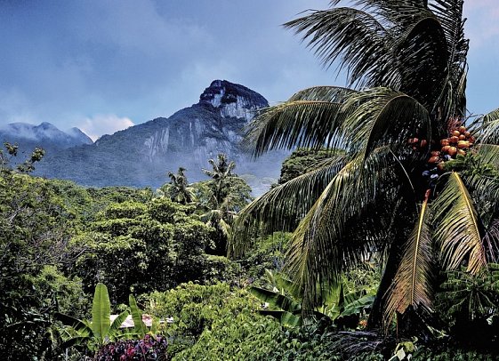 Segeltörn durchs Paradies - S.V. Sea Pearl (8 Tage/7 Nächte, ab/bis Mahé)