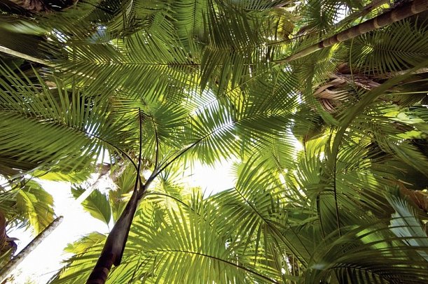 Segeltörn durchs Paradies - S.V. Sea Pearl (8 Tage/7 Nächte, ab/bis Mahé)