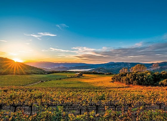 California Beach & Sun - Napa Valley