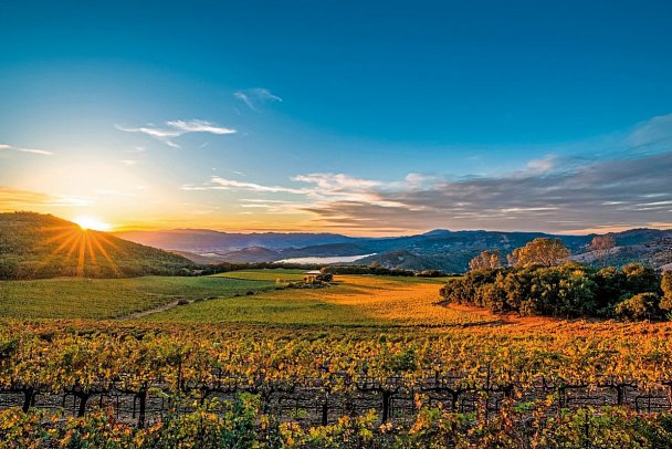 California Beach & Sun - Napa Valley