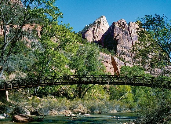 Goldene Brücken & Grandiose Canyons - Zion Nationalpark