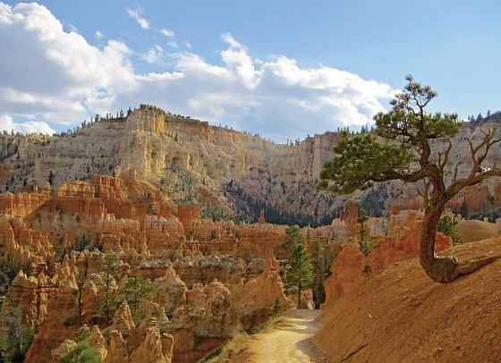 Nationalparks des Westens erwandern (ab San Francisco) - Bryce Canyon Nationalpark