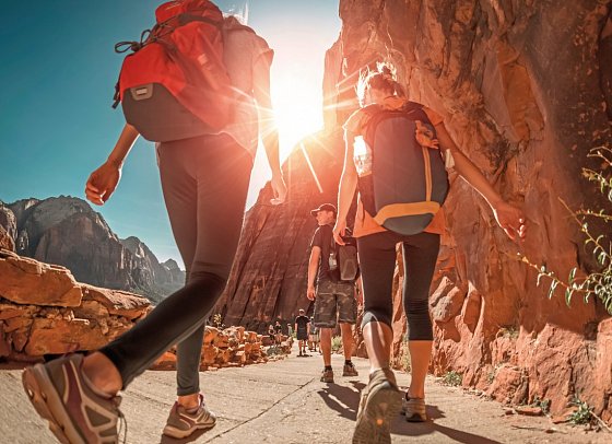 Nationalparks des Westens erwandern (ab San Francisco) - Zion Nationalpark