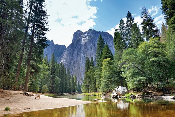 Discover the West - Yosemite Nationalpark