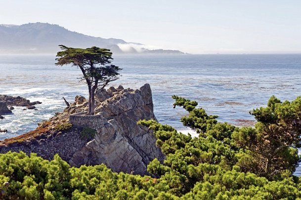 Westküste hautnah - 17-Mile-Drive