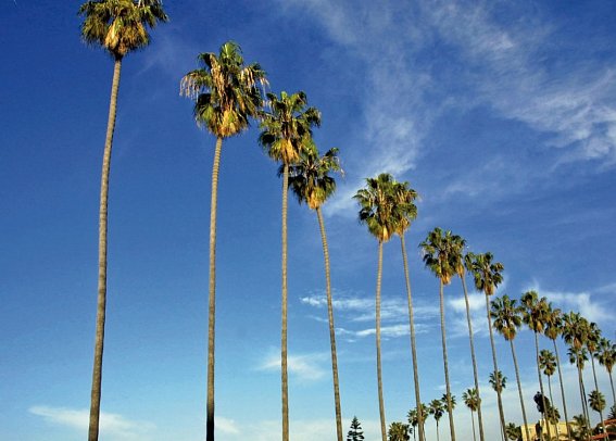 Westküste hautnah - San Diego