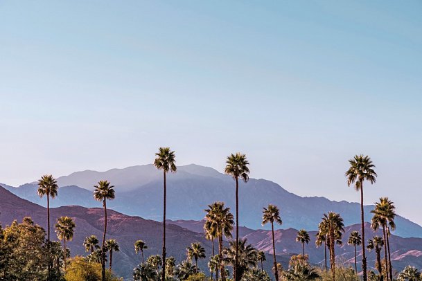 Westküste hautnah - Palm Springs