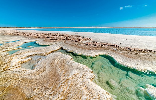 Busrundreise Baja California - Guerrero Negro