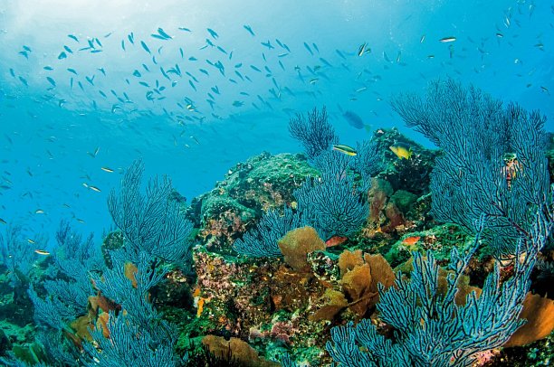 Busrundreise Baja California - Cabo Pulmo Nationalpark