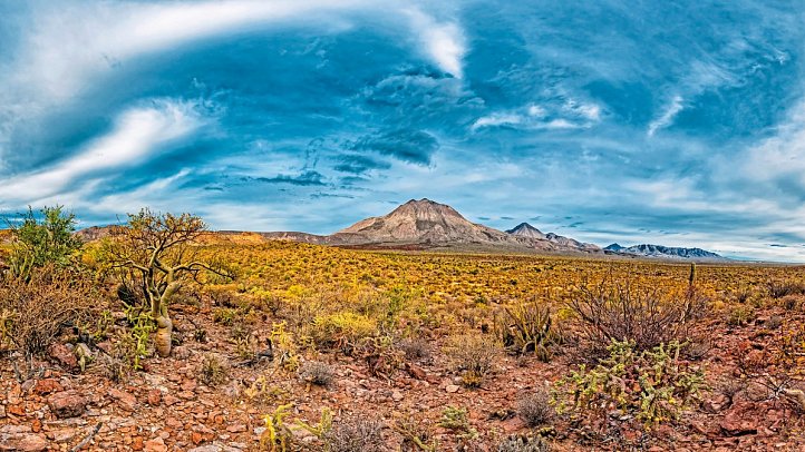 Busrundreise Baja California - Tres Virgines