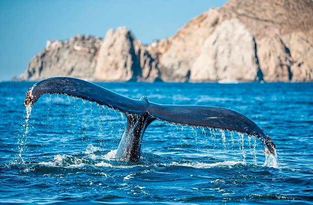 Mietwagenreise Baja California