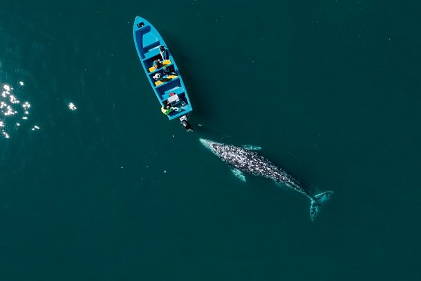 Mietwagenreise Baja California