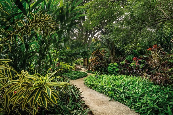 Capitan Suizo Beachfront Boutique Hotel