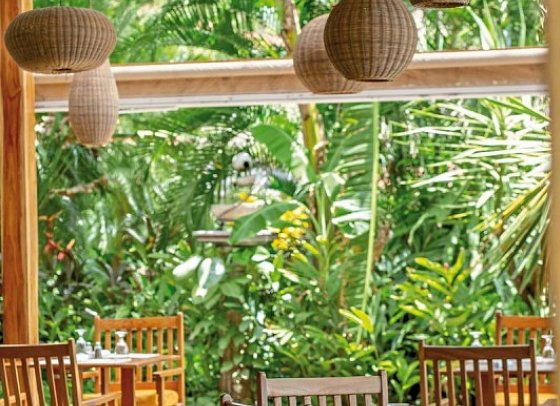 Capitan Suizo Beachfront Boutique Hotel