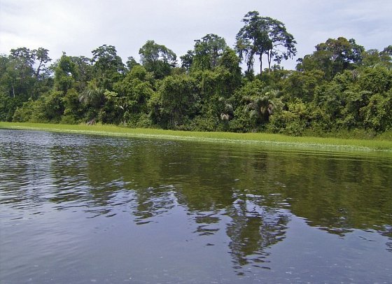 Höhepunkte Costa Ricas (13 Nächte) - Nationalpark Tortuguero