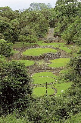 Pura Vida - Costa Rica hautnah mit Badeverlängerung