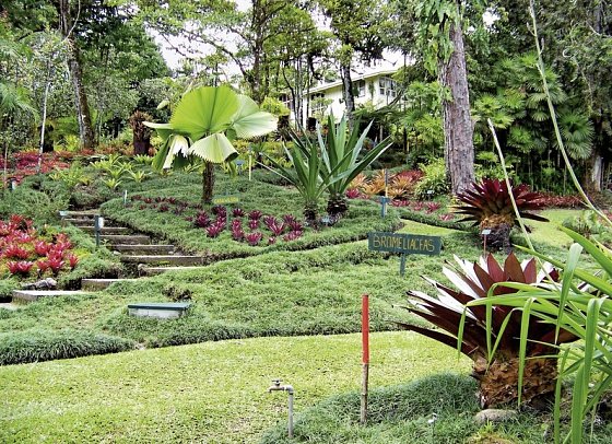 Pura Vida - Costa Rica hautnah mit Badeverlängerung - Botanischer Garten Wilson
