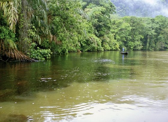 Geheimnisvolles Costa Rica: Vulkane und Regenwald - Tortuguero Nationalpark