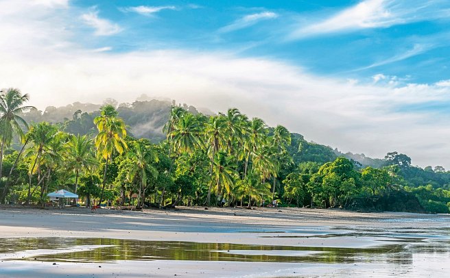 Grünes Paradies - Manuel Antonio Nationalpark
