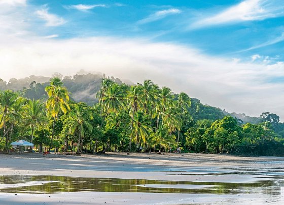 Grünes Paradies - Manuel Antonio Nationalpark