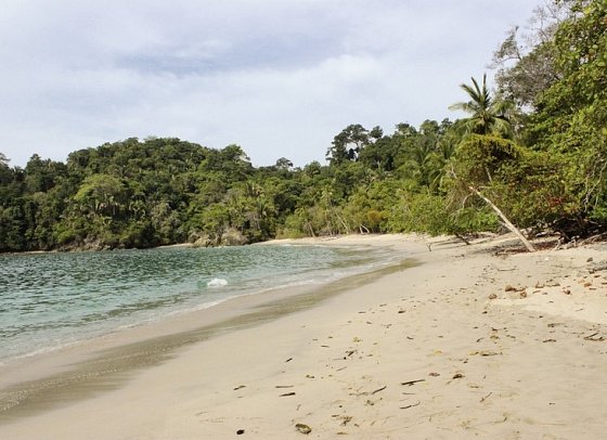Grünes Paradies - Manuel Antonio Nationalpark