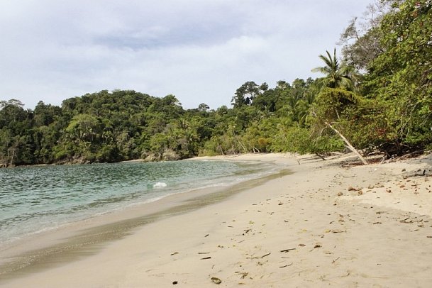 Grünes Paradies - Manuel Antonio Nationalpark