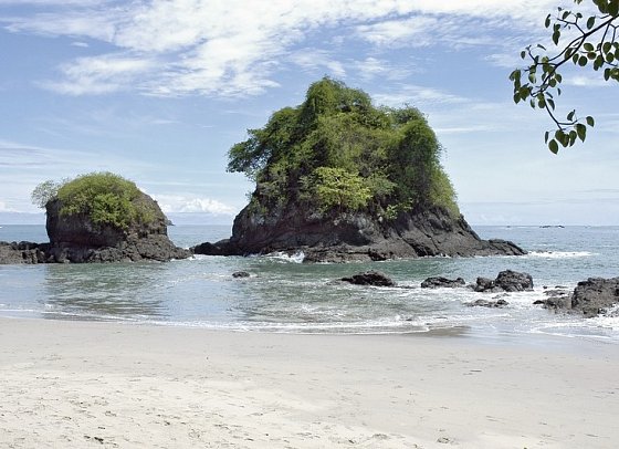 Costa Ricas wilder Süden - Manuel Antonio Nationalpark