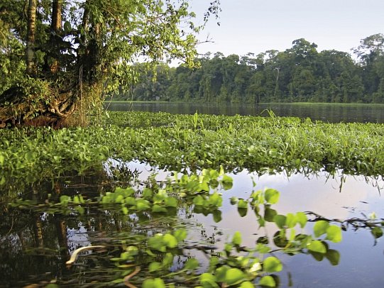 Costa Rica - Aktiv & Relax - Tortuguero Nationalpark