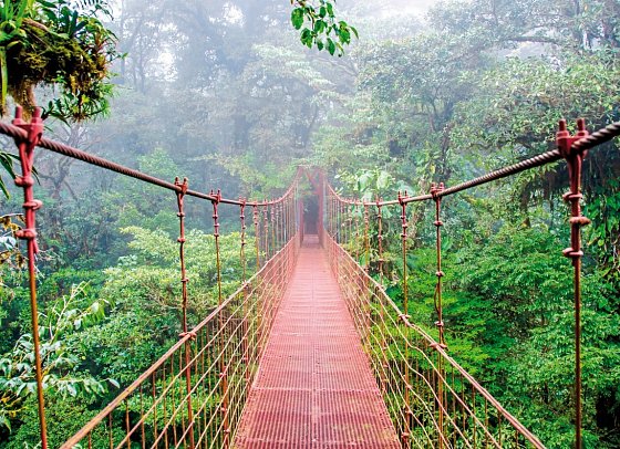 Highlights des Nordens (8 Nächte) - Monteverde Nebelwald