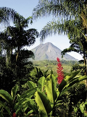 Dschungelabenteuer für die ganze Familie