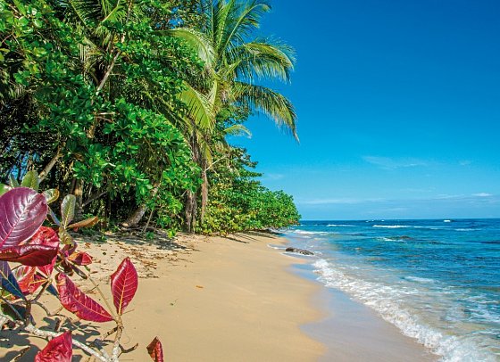Abenteuer zwischen Vulkan und Regenwald - Strand Puerto Viejo