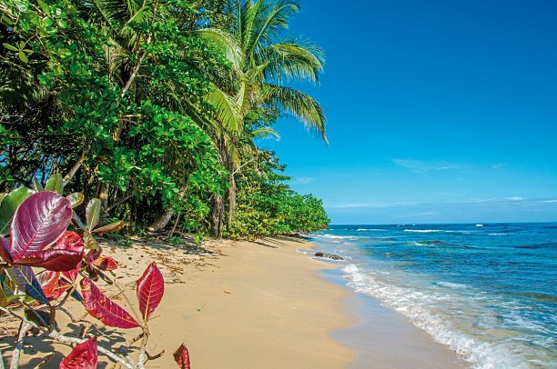 Abenteuer zwischen Vulkan und Regenwald - Strand Puerto Viejo