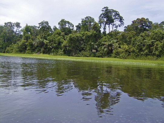 Höhepunkte Costa Ricas (14 Nächte) - Nationalpark Tortuguero