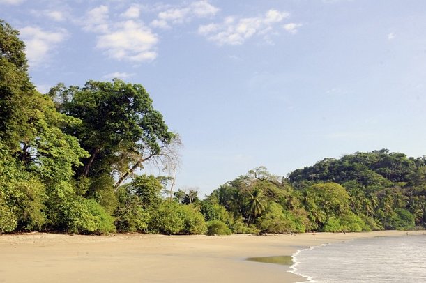 Höhepunkte Costa Ricas (14 Nächte) - Nationalpark Manuel Antonio