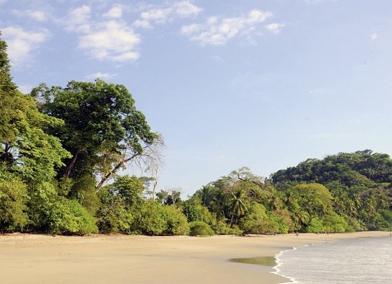 Höhepunkte Costa Ricas (14 Nächte) - Nationalpark Manuel Antonio