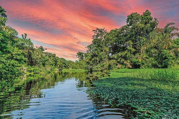 Karibik- und Dschungeltour - Tortuguero Nationalpark