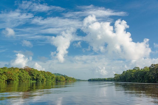 Karibik- und Dschungeltour
