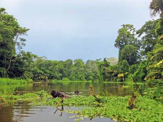Karibik- und Dschungeltour
