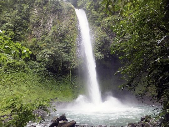 Karibik- und Dschungeltour