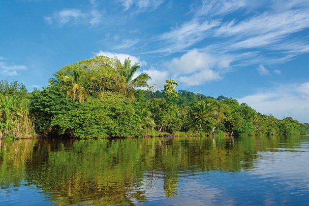 Karibik- und Dschungeltour