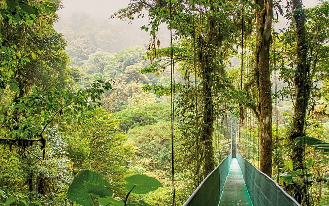 Tropisches Abenteuer - Monteverde
