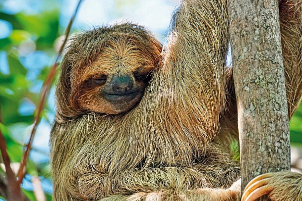 Tropisches Abenteuer