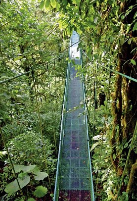 Nebelwald Monteverde