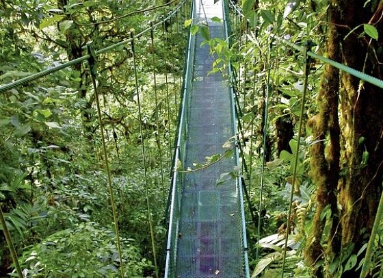 Nebelwald Monteverde