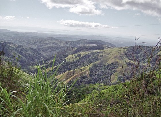 Nebelwald Monteverde