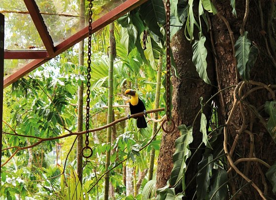 Nationalpark Manuel Antonio